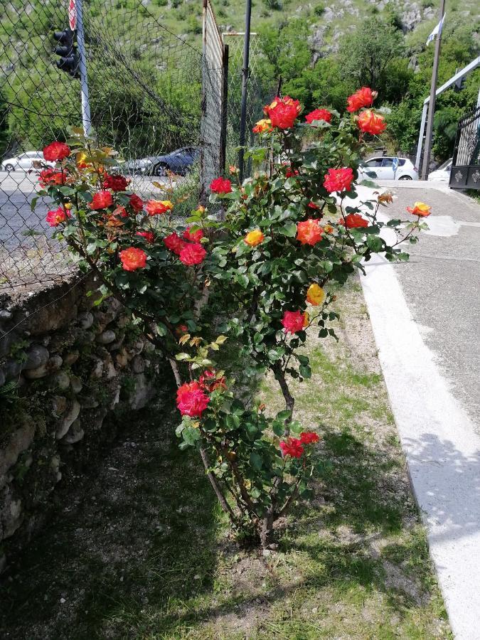 Apartmani Taki Mostar Bagian luar foto